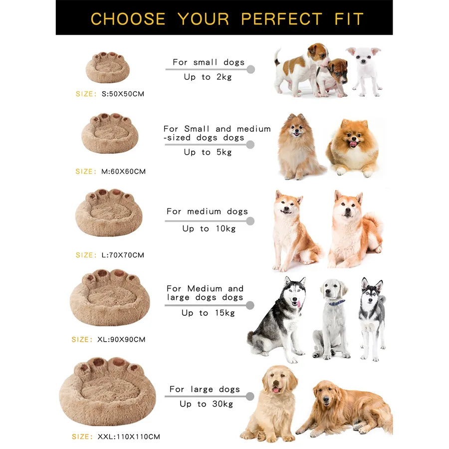 Best Dog Food Chart: Compare Top Picks for Every Pup's Nutrition