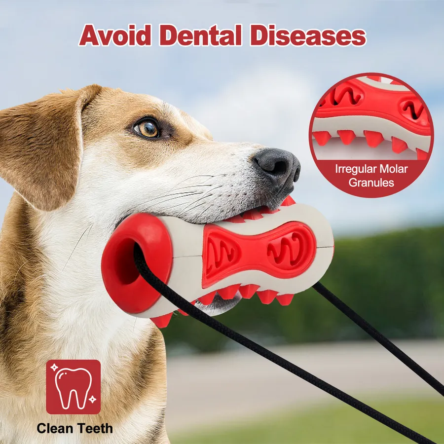 What Are the Best Dental Chews for Dogs for Healthy Teeth and