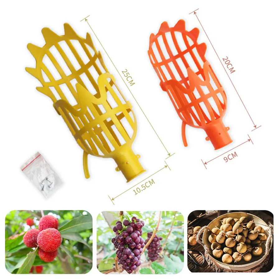 DIY Fruit Picker Tool: A Step-by-Step Guide for Effortless Harvesting ...