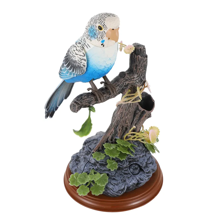 Guide to the Best Pet Birds for Beginners That Talk – Friendly