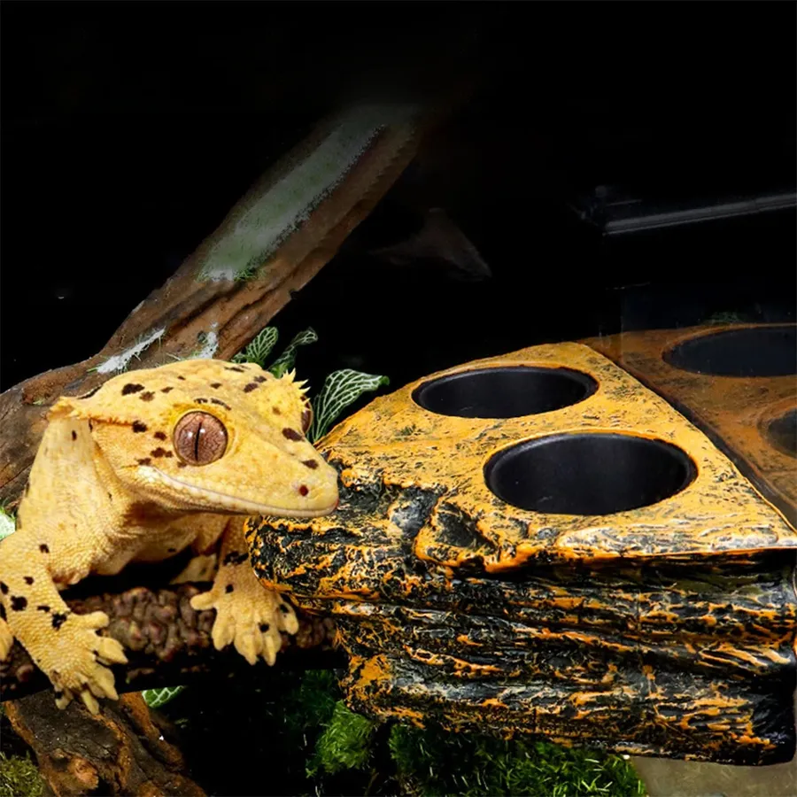 Top 10 Best Greens for Bearded Dragons to Keep Them Healthy