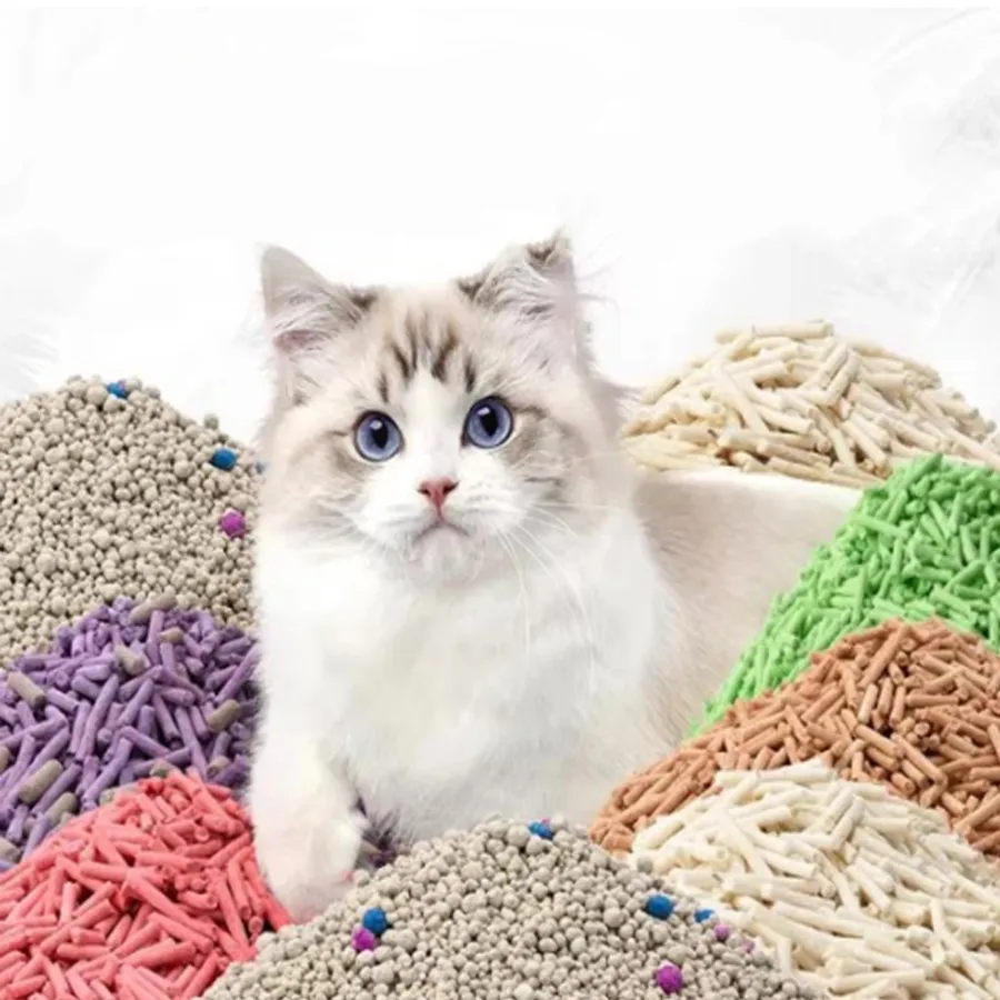 Guide to Choosing the Best Safe Cat Litter for Your Feline Friend