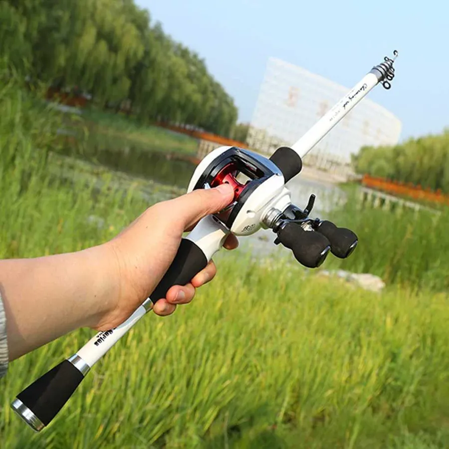 Discover the Best Type of Rod for Bass Fishing for Every Skill