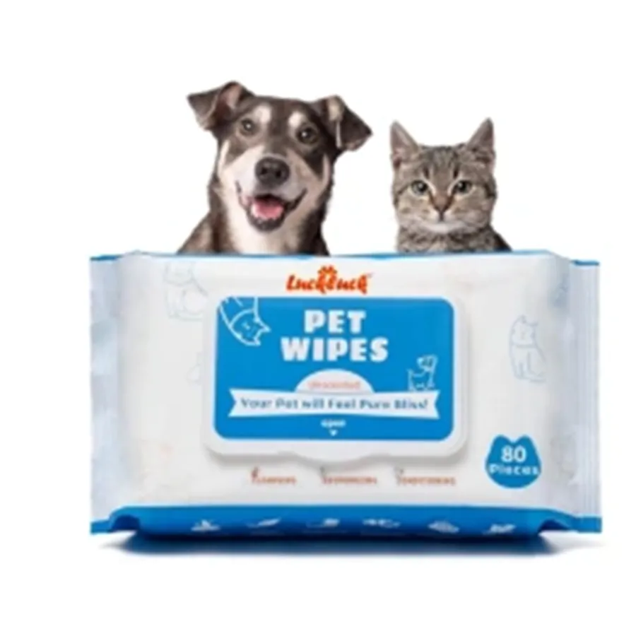 Effective Antifungal Wipes for Dogs' Paws to Keep Them Healthy and