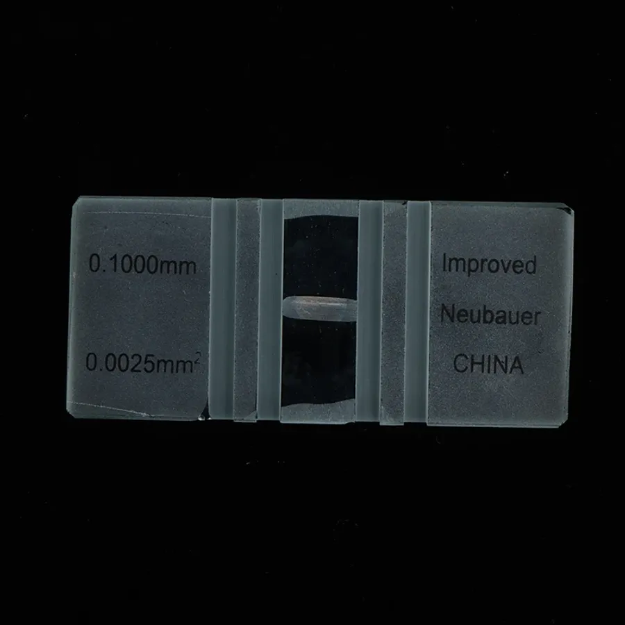 Mastering How to Perform a Gram Stain: Step-by-Step Guide for Accurate ...