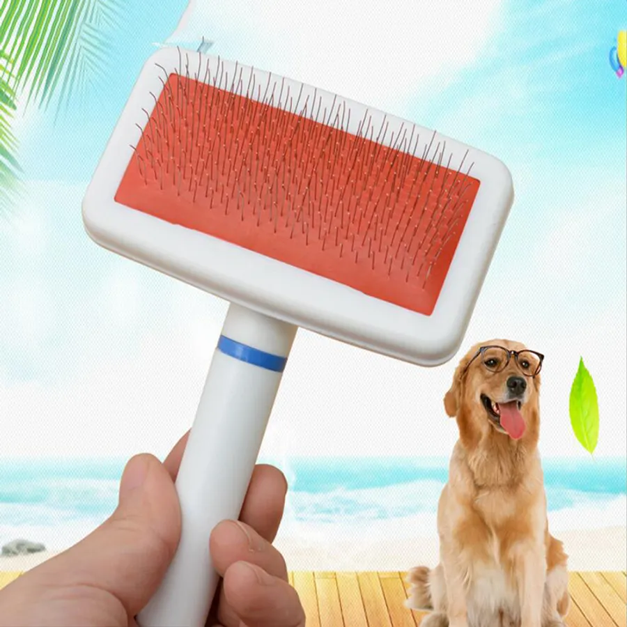 Reliable and Gentle Grooming: Best Dog Brush for Poodle Mix