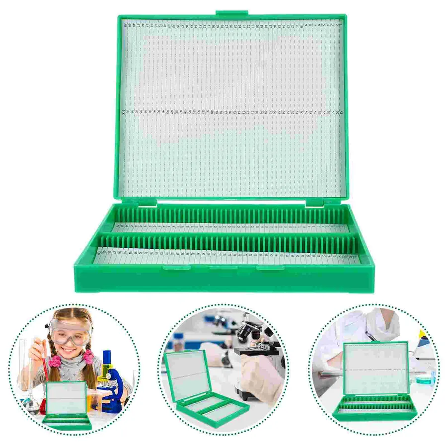 Mastering How to Perform a Gram Stain: Step-by-Step Guide for Accurate ...