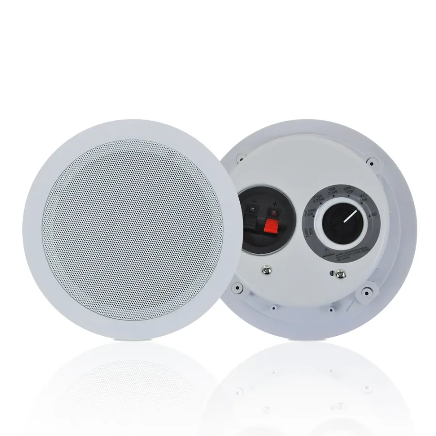 Reliable and Weather-Resistant Options for Best Outdoor Ceiling