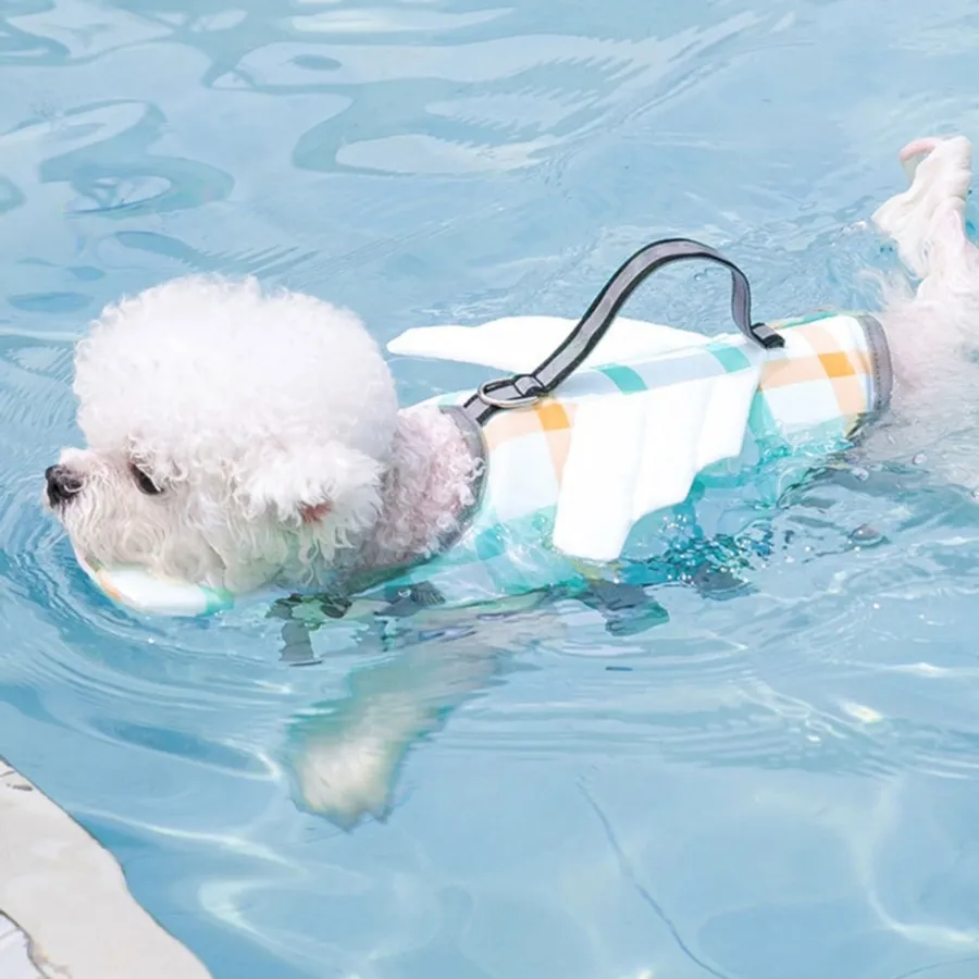 Choosing the Best Dog Run Material for Durability and Comfort