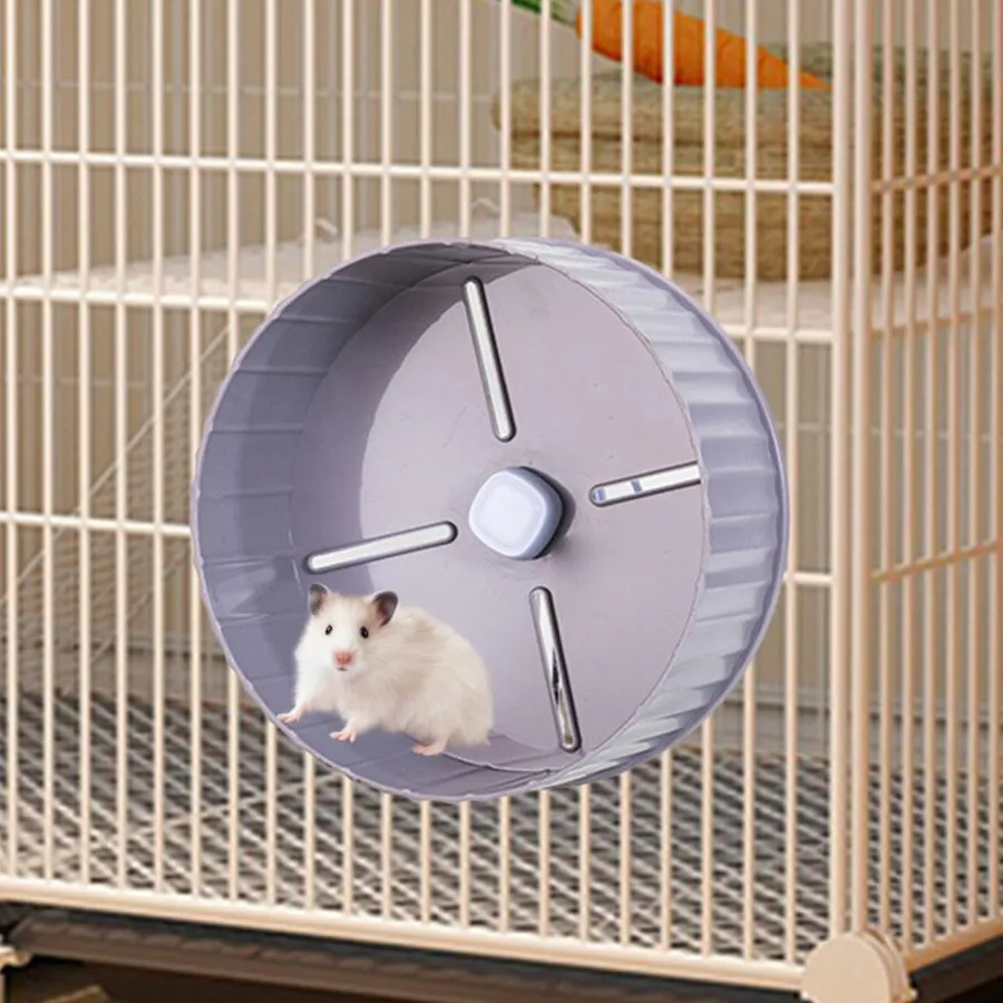 Guide to the Best Breed of Hamster for Your Home Pet - Smart.DHgate ...