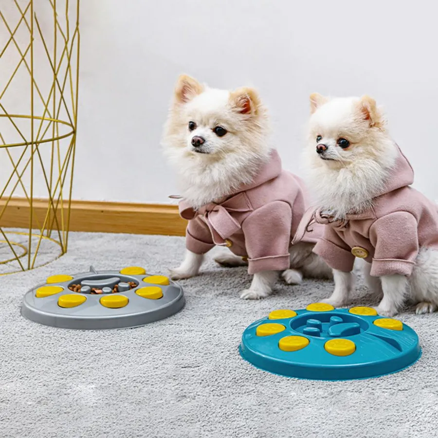 top 10 things you need for a dog: essential gear for happy pups