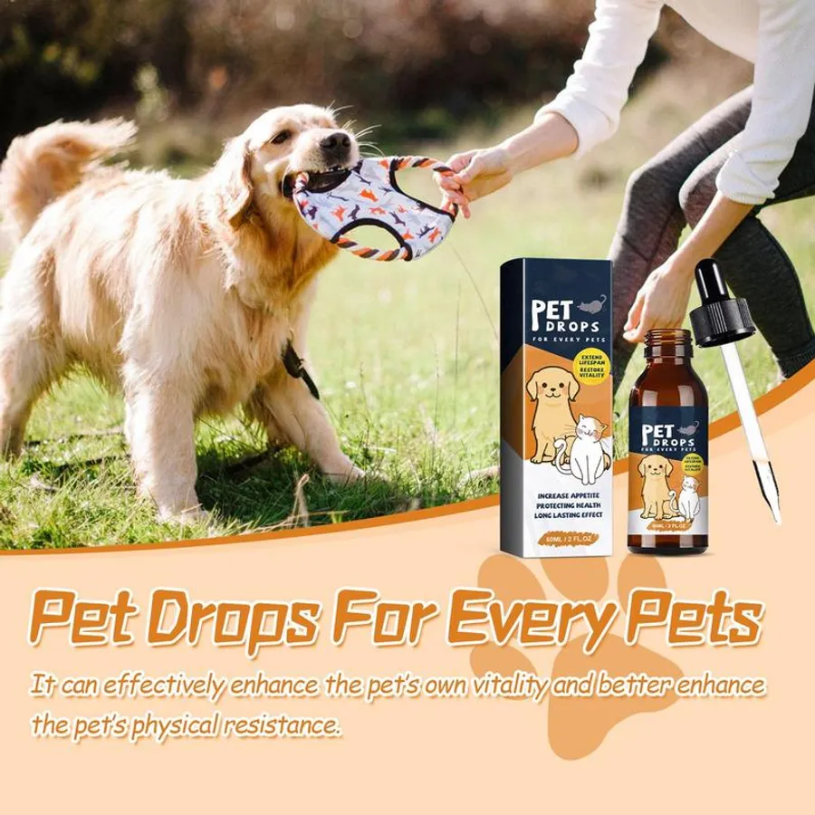 Affordable Solutions for the Best Supplement to Stop Dog Shedding