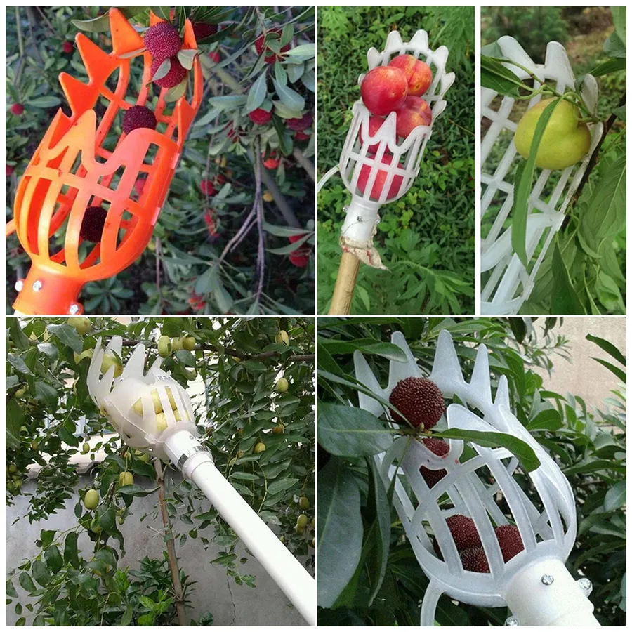 DIY Fruit Picker Tool: A Step-by-Step Guide for Effortless Harvesting ...