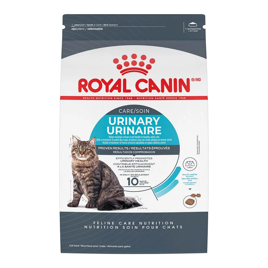 Curated visual reference: Picture Idea: Healthy Choices For Cats With Feline Leukemia Food Care Essentials