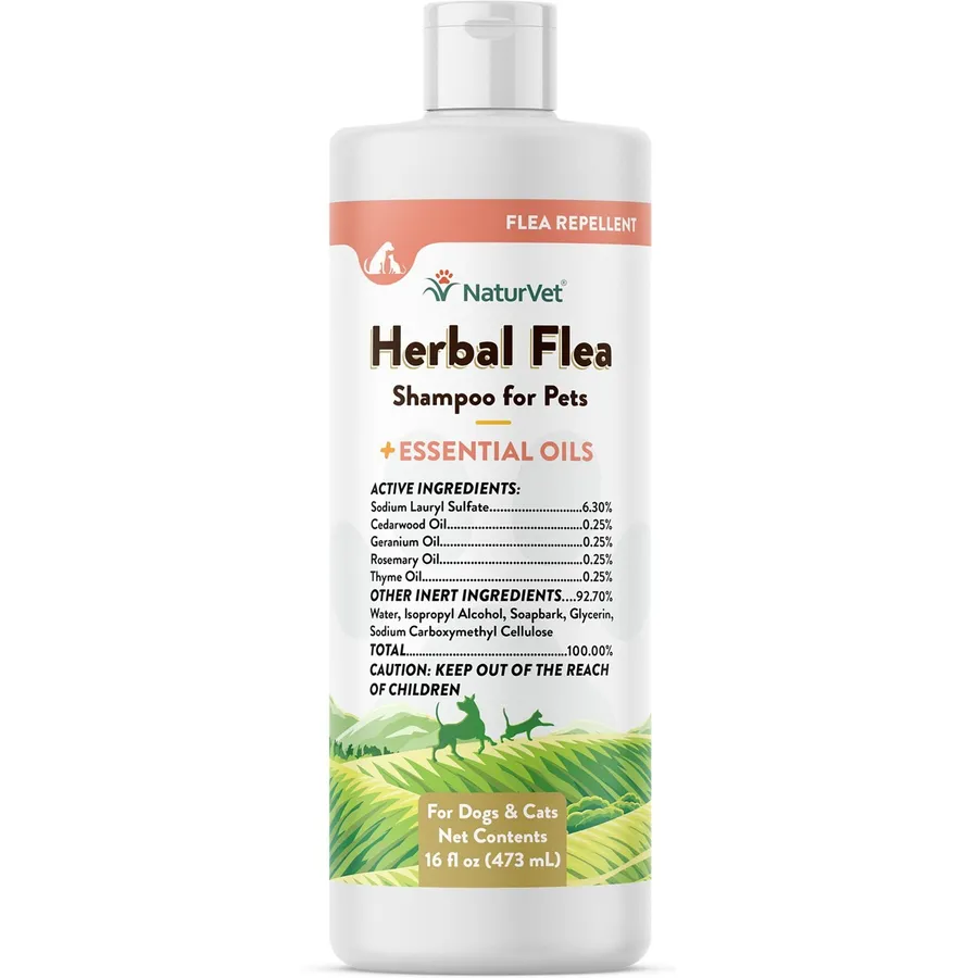 The Ultimate Guide to Making a Safe and Effective Flea Bath at Home ...