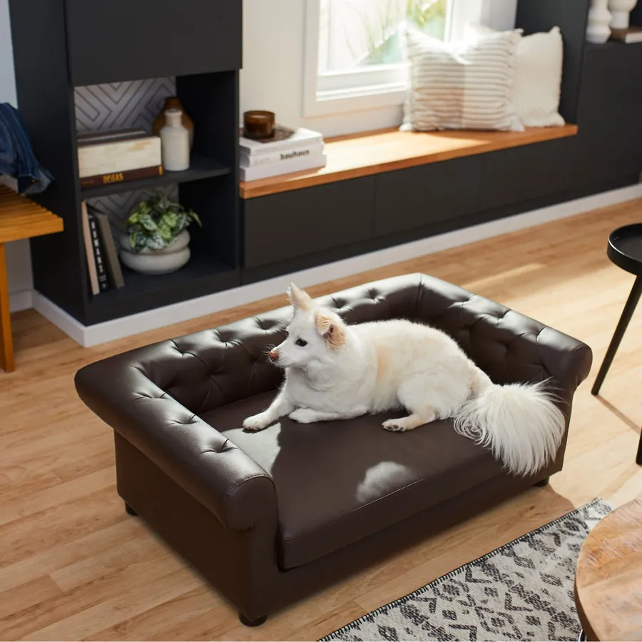 What sofa fabric is best for cats: protect your furniture easily