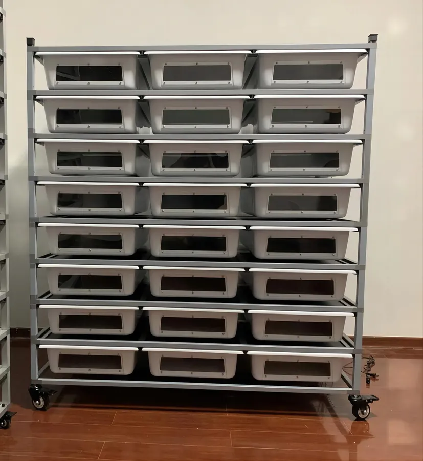 Humane Ball Python Snake Rack Set Up Essential Tips for Caring for Your Ball Python: Habitat, Health, and ...