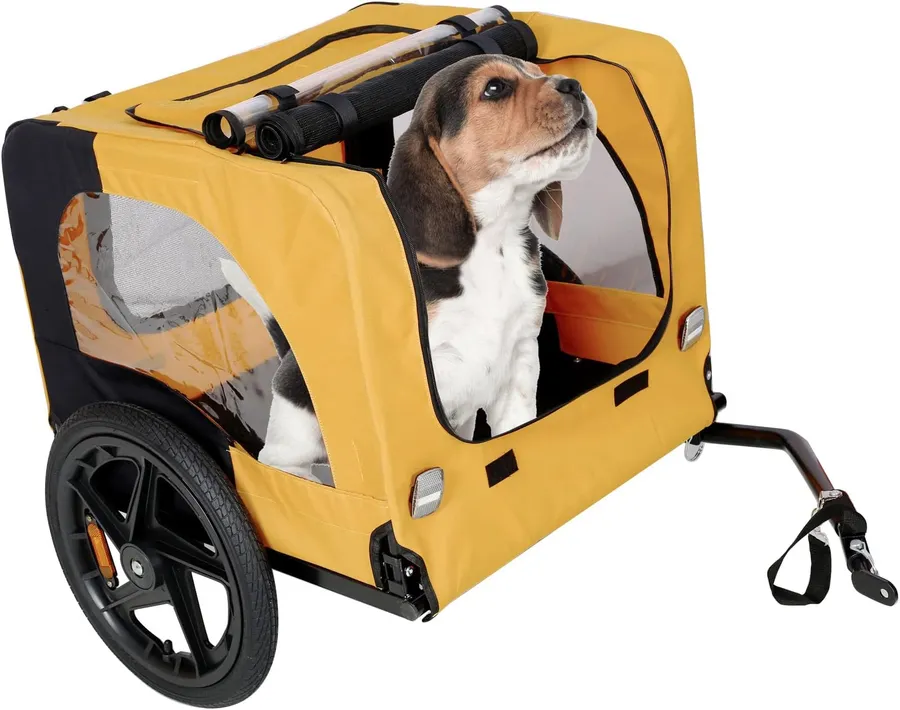 Top 10 Best Cars for a Big Dog: Safe, Comfortable Budget-Wise