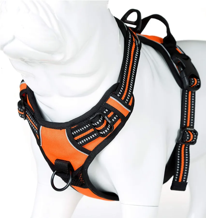 Affordable and Adjustable Best No Pull Dog Harnesses for Comfortable ... - Sturdy No-Pull Dog Harness For Strong Breeds