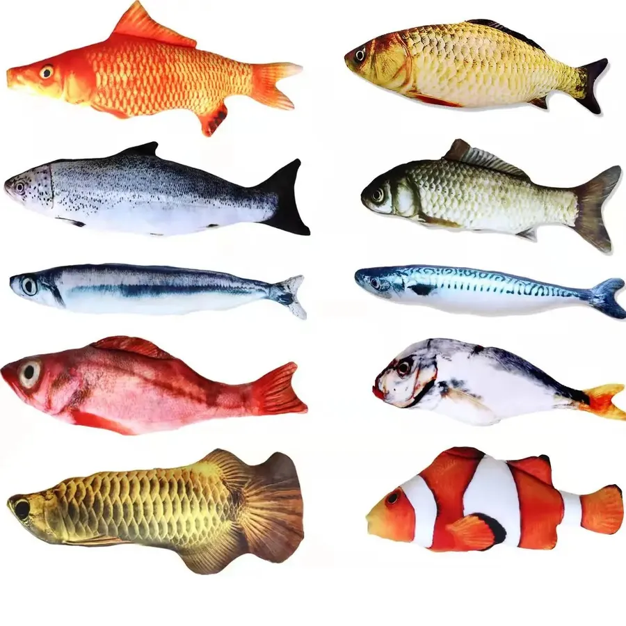 Guide to Choosing the Best Fish for Classroom Pet Aquariums