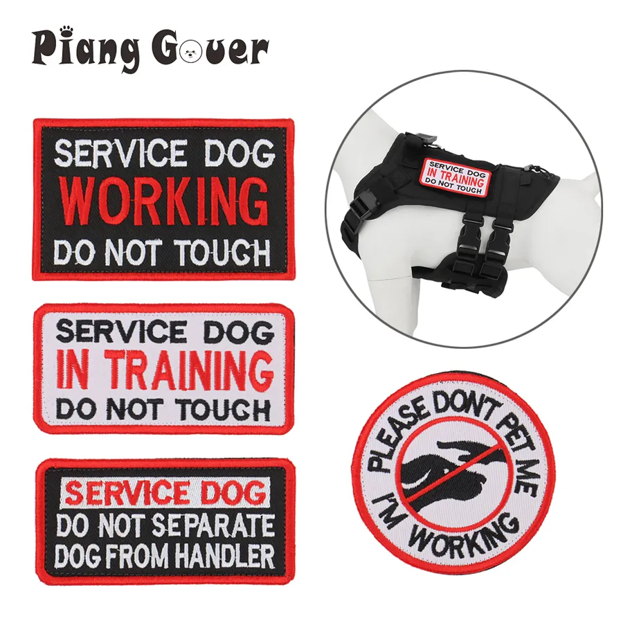 Creative and Charming Ideas for the Best Goldendoodle Names