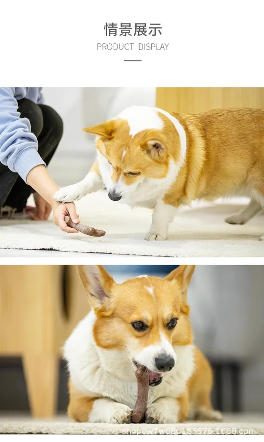 Best Dog Gifts for Every Pup: Durable, Fun, and Engaging Picks