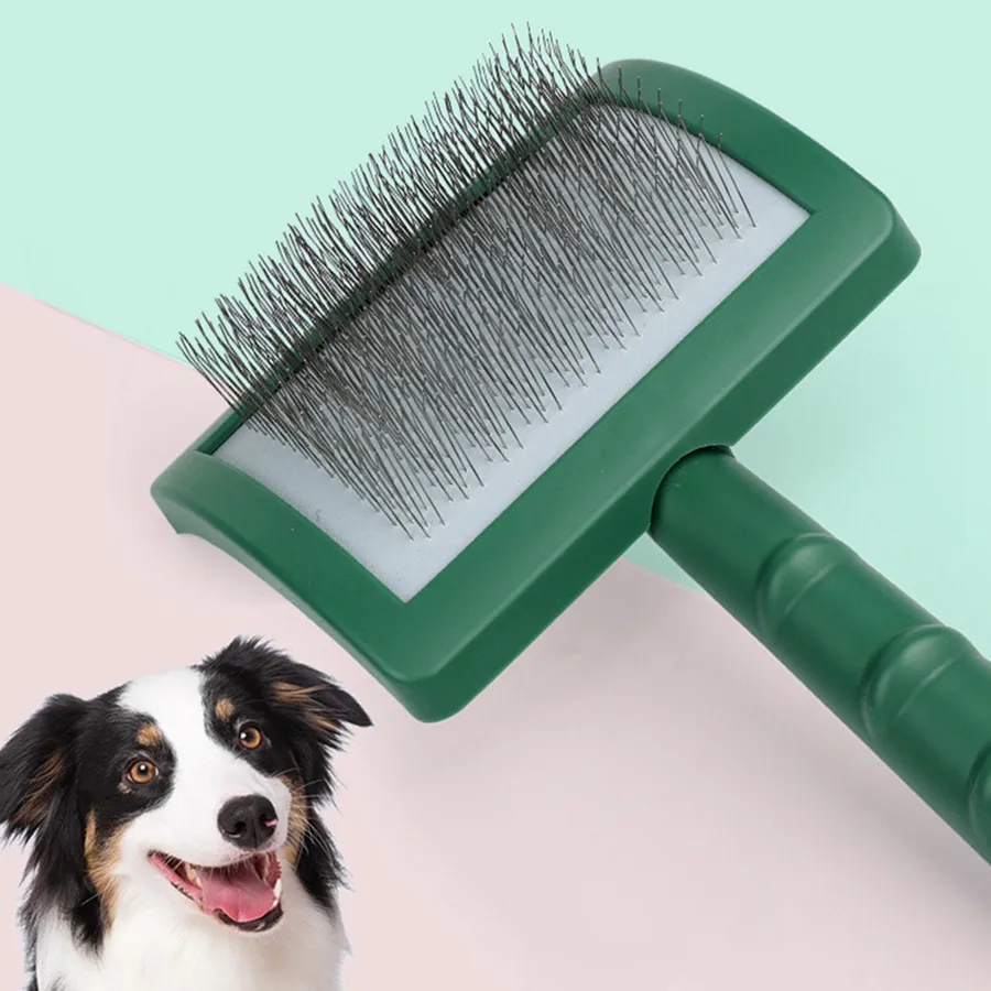 Best Dog Brush for Poodles: Top Picks to Prevent Matting Tangles