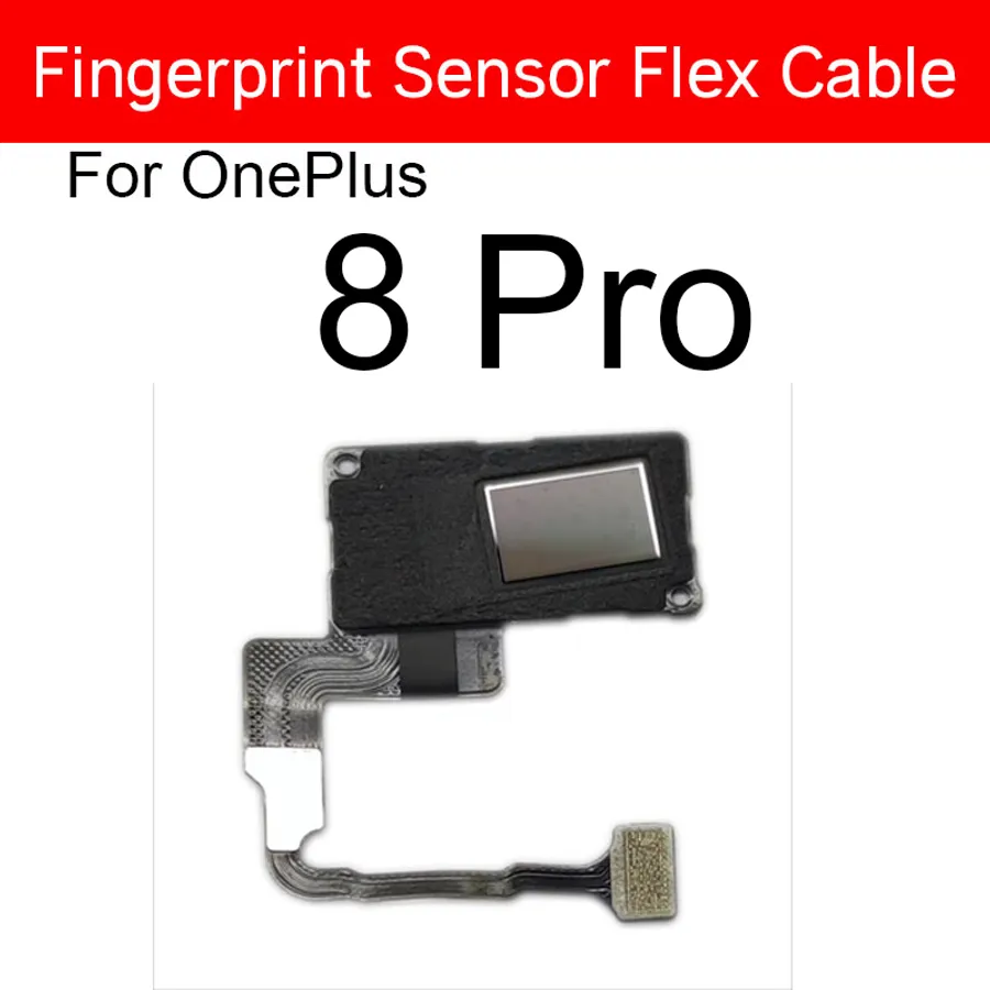 iPhone 12 Pro OnePlus 8T Camera: Why did the iPhone lose that