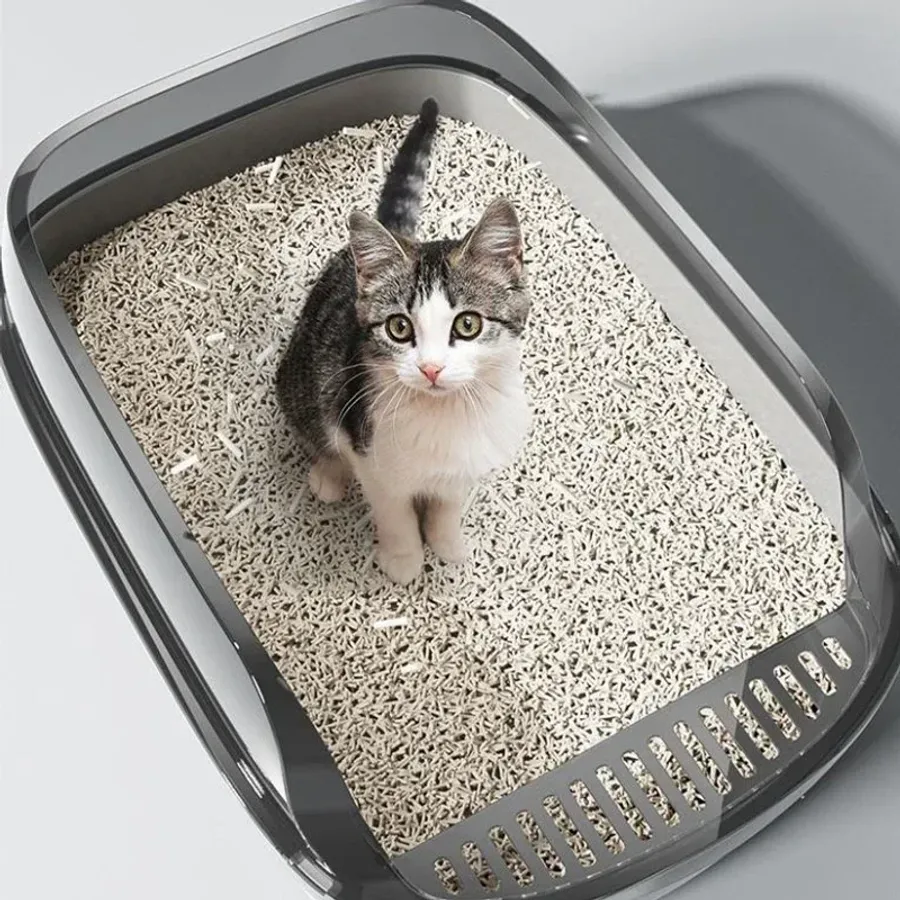 Tidy Cats Litter Box Walgreens Walgreens Litter Sales