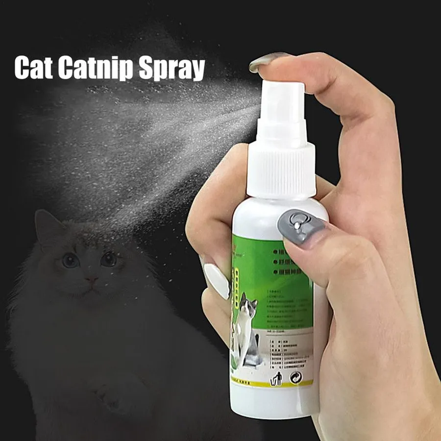 Do Male Cats Spray After Being Neutered? Surprising Facts Revealed
