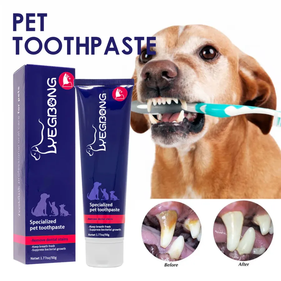 Effective Solutions for the Best Toothpaste for Dogs with Plaque