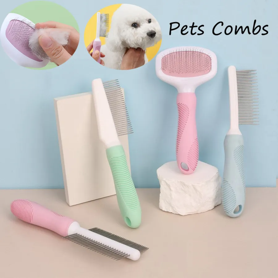 Effective Ways to Keep Dogs' Teeth Clean and Healthy Smart