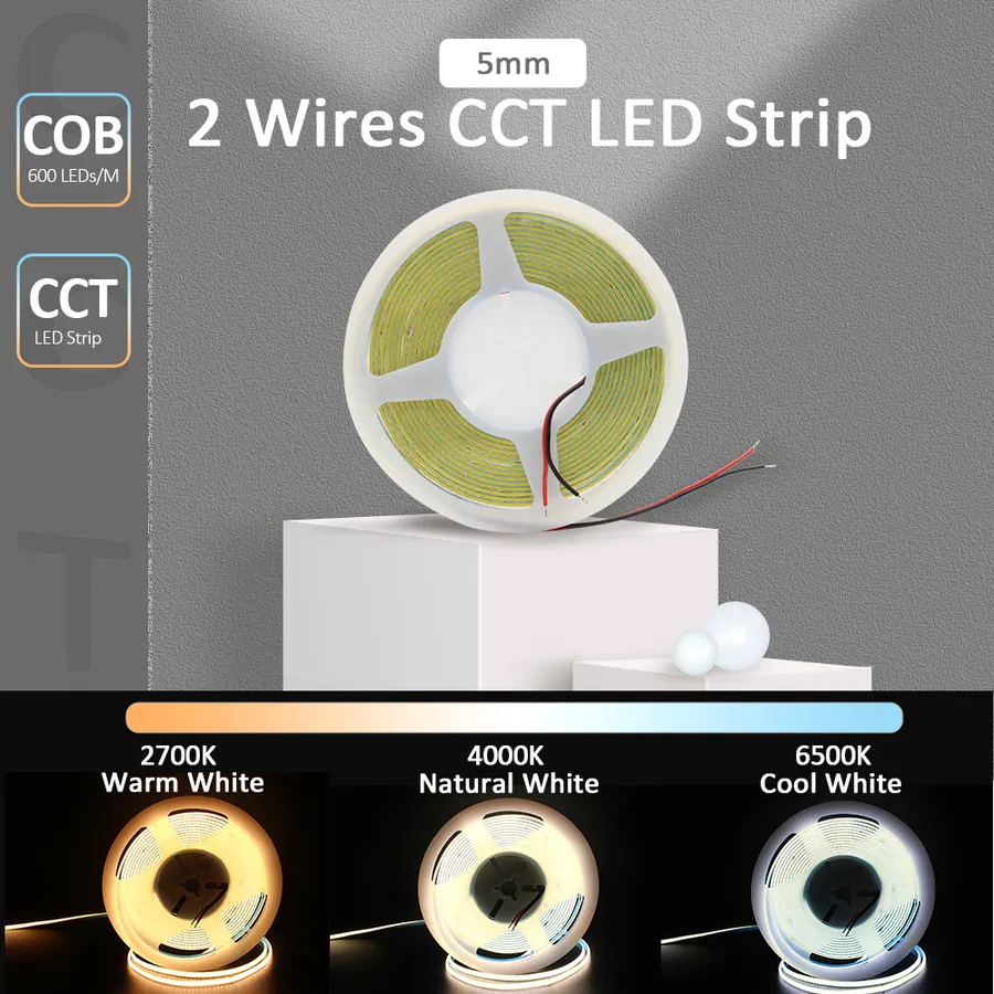 Creative Ways to Combine and Control Two-Color LED Lights for Stunning ...