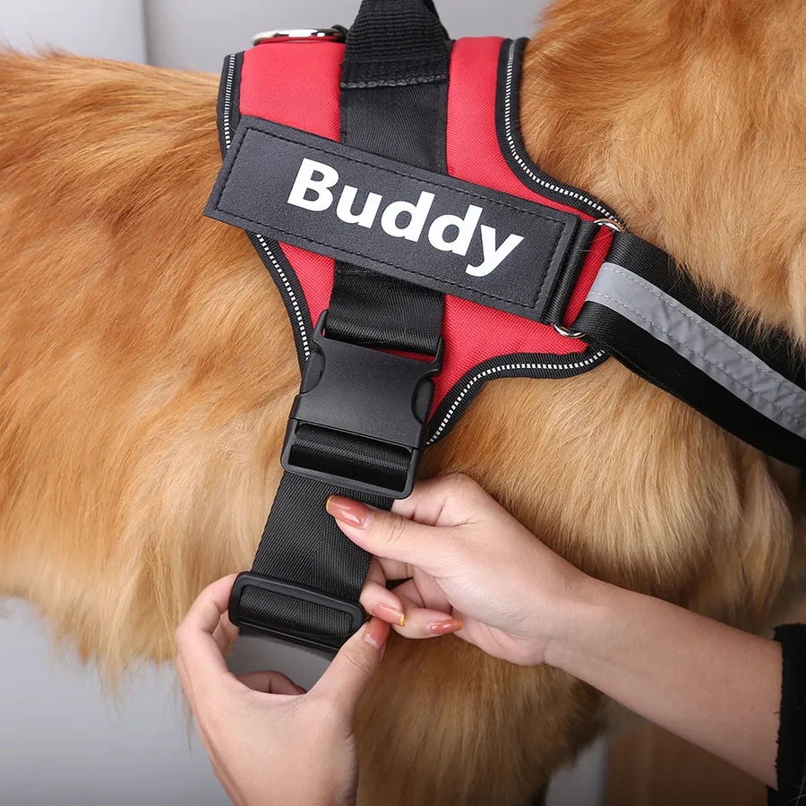Guide to Finding the Best Dog Harness for a Boxer: Comfort