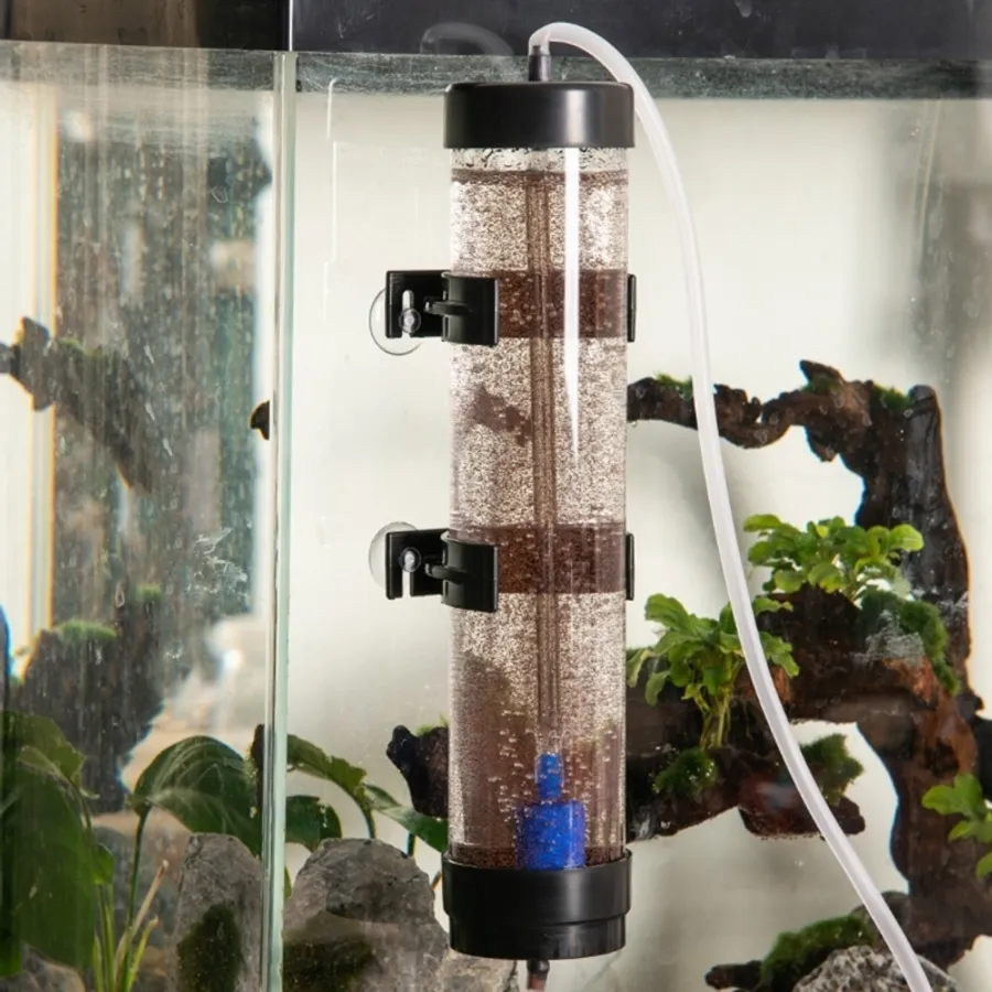 Choosing the best betta tank setup for a stunning and healthy aquarium ...