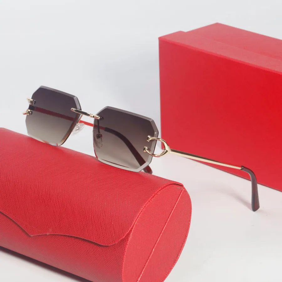 Tortoiseshell vs Rimless Sunglasses: Are frameless glasses going out of ...