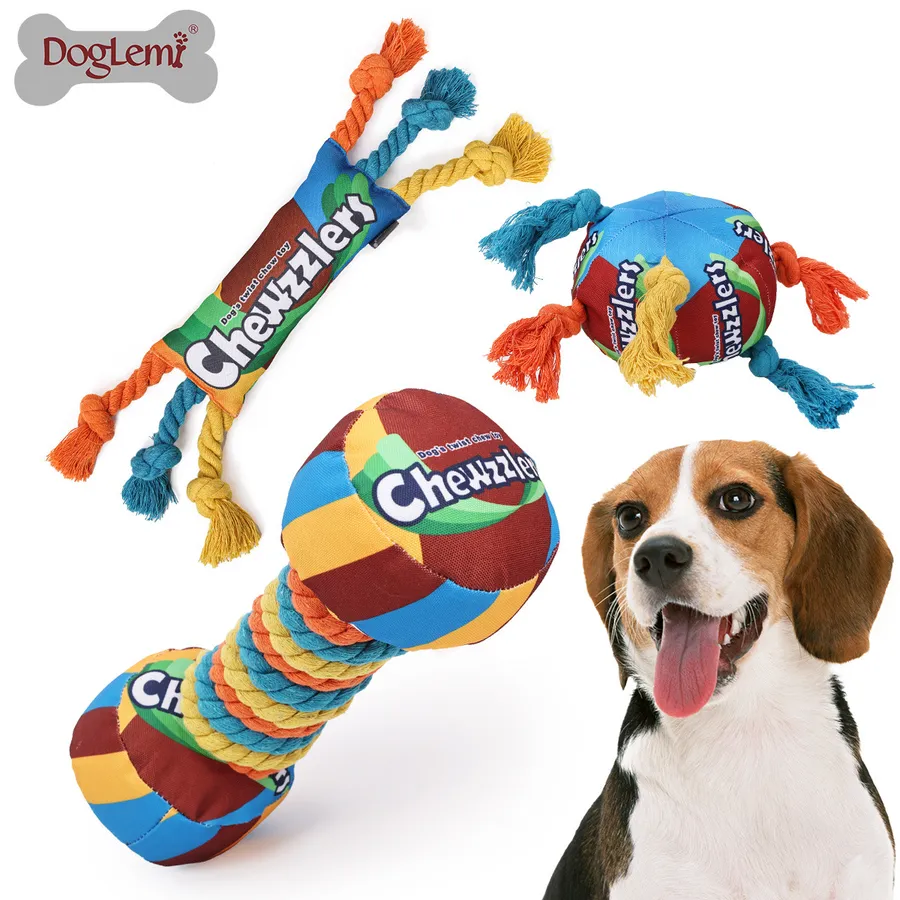 What Color Toys are Best for Dogs: Ultimate Guide to Boost Playtime