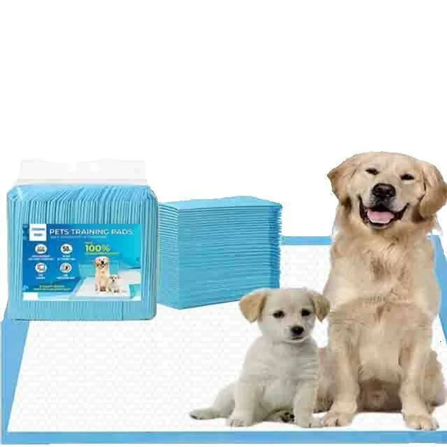 Effective Solutions for the Best Way to Clean Up Dog Pee at Home