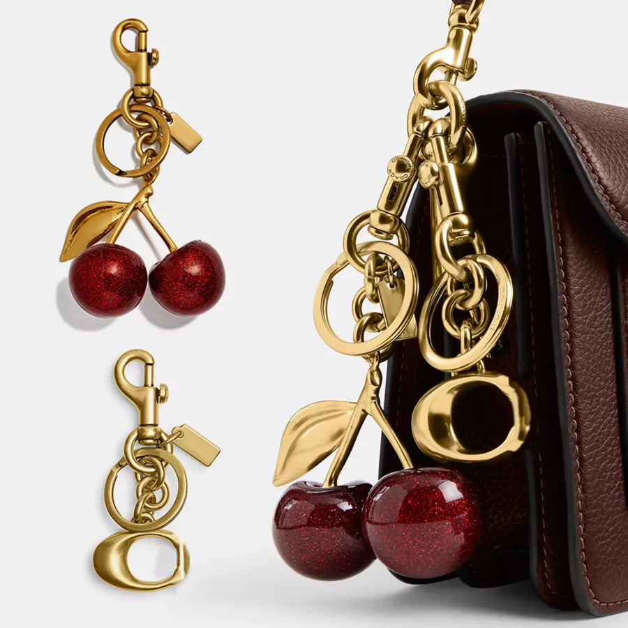 Cherry keychain or personalized photo keychain: which ones a better ...