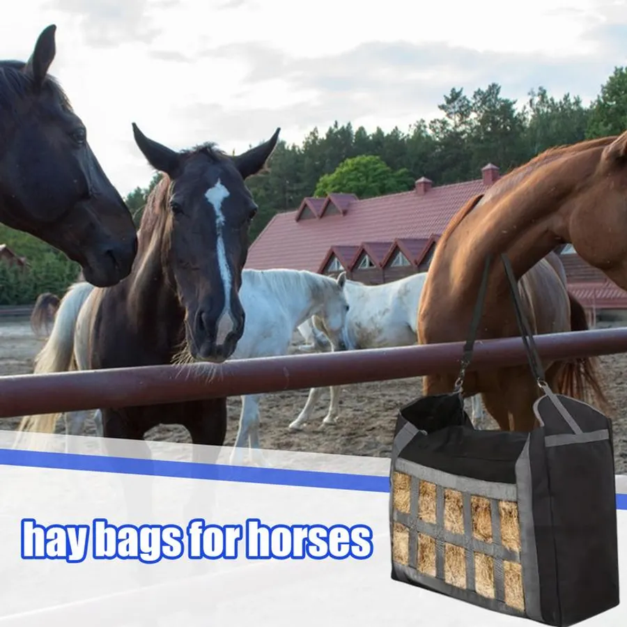 Top Picks for the Best Horse Toys: Durable, Fun Stall-Ready