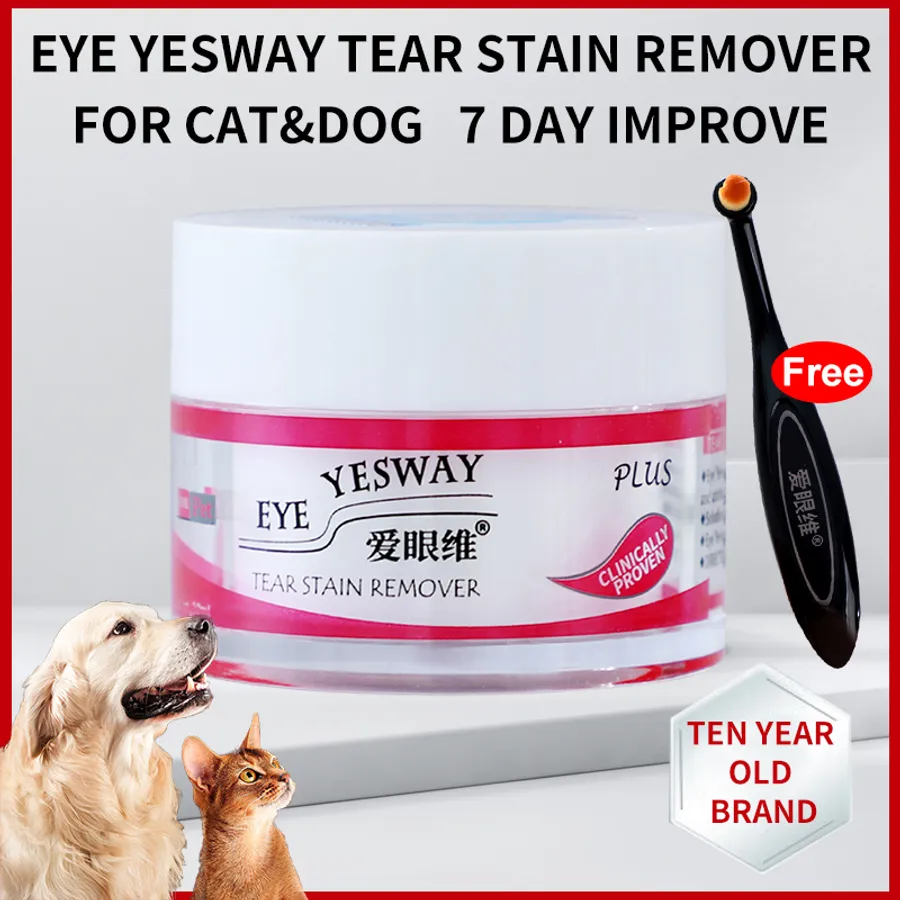 Best way to remove tear stains from dogs: gentle and effective