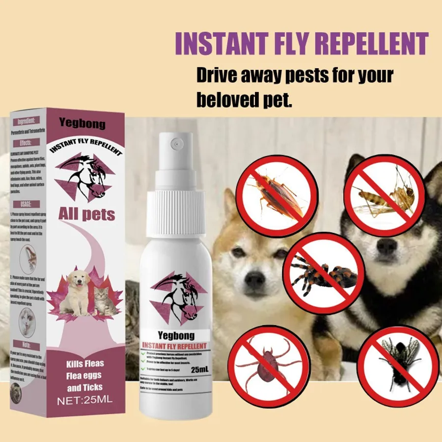 Effective Solutions for the Best Way to Get Skunk Spray Off a Dog