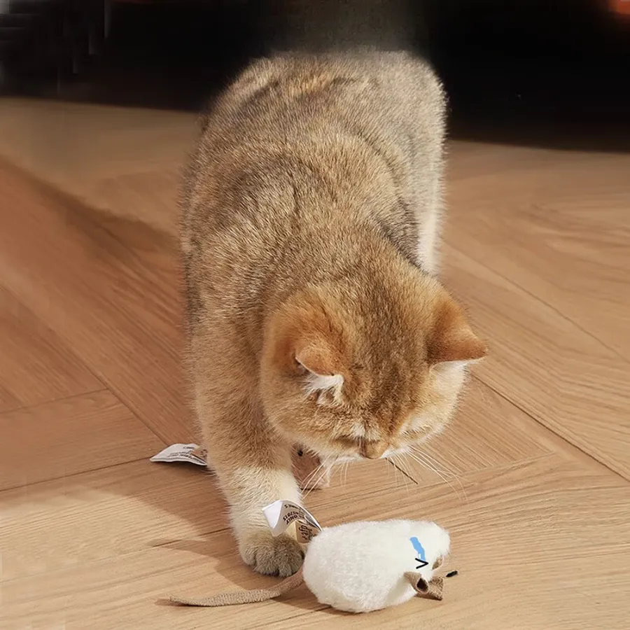 Affordable and Fun Cat Toys That Help with Rat Hunting Skills