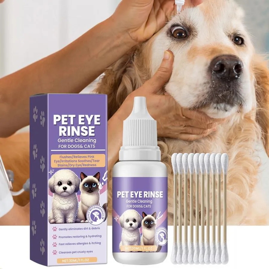 Effective Ways to Clean Dog Eye Boogers Safely and Easily Smart