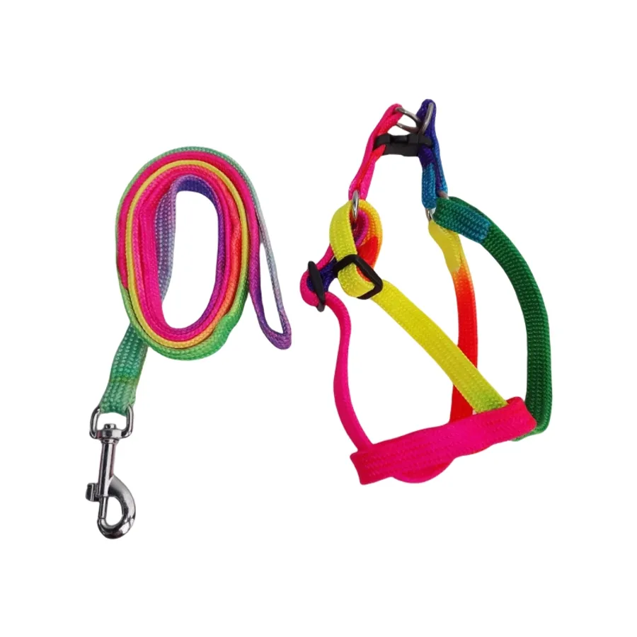 Quality Options for the Best Harness for Mini Goldendoodle Smart
