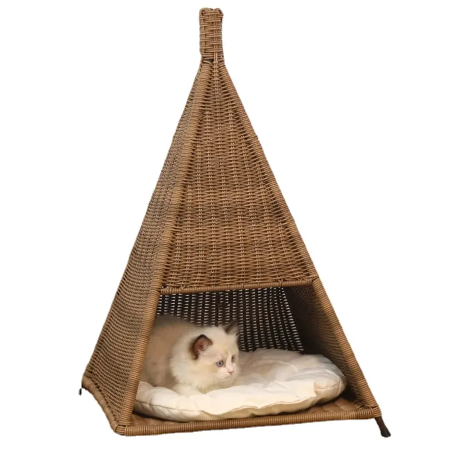 Discover the best cats for apartments that thrive in small spaces