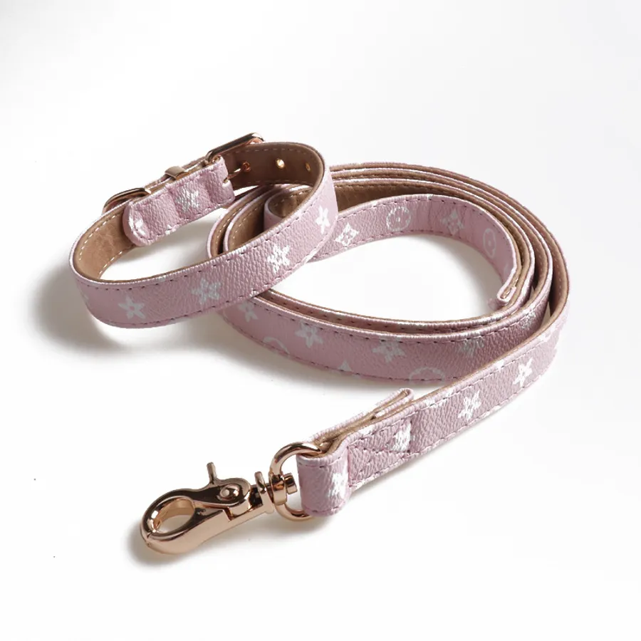 Leather vs Fabric Dog Collars: Does the material actually matter