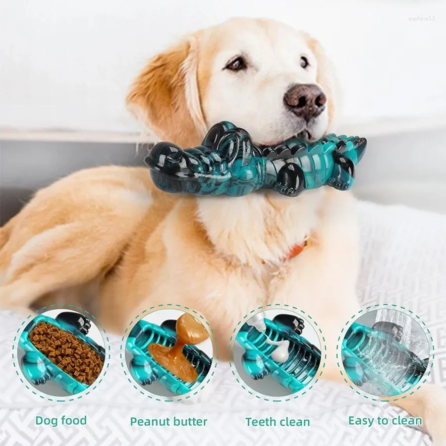 Effective Dog Chews for Dental Health That Keep Your Pup Smiling