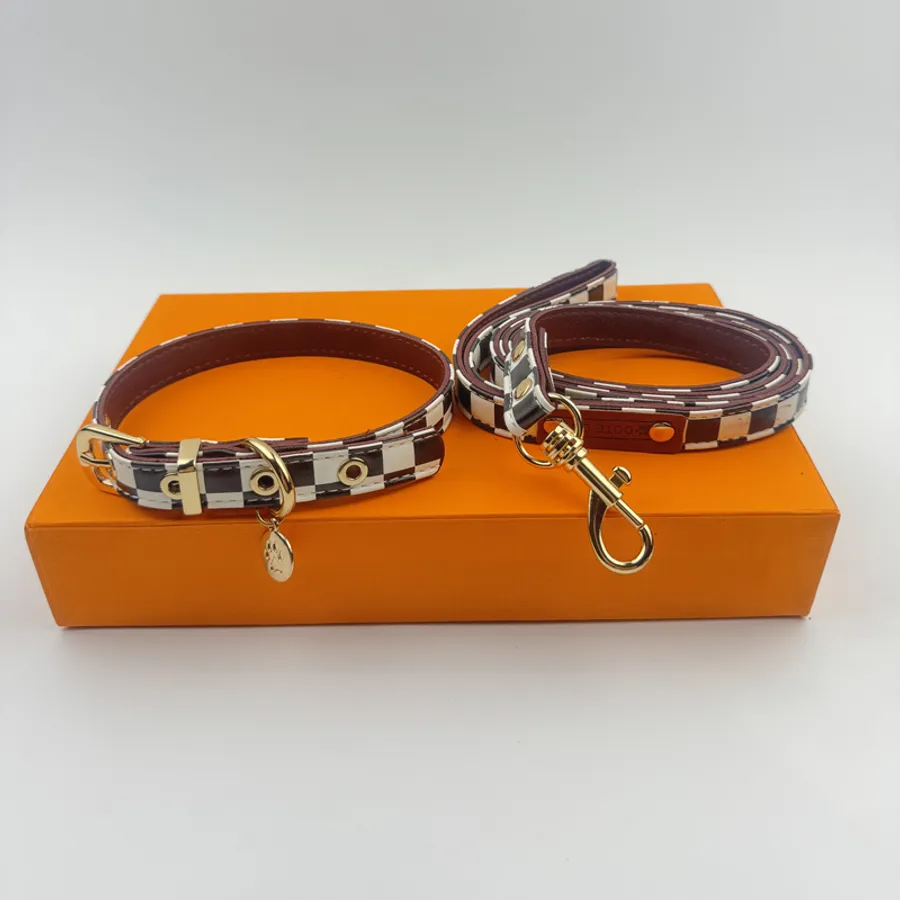 Dog collar leash set vs chain leash: Is the aesthetic worth the