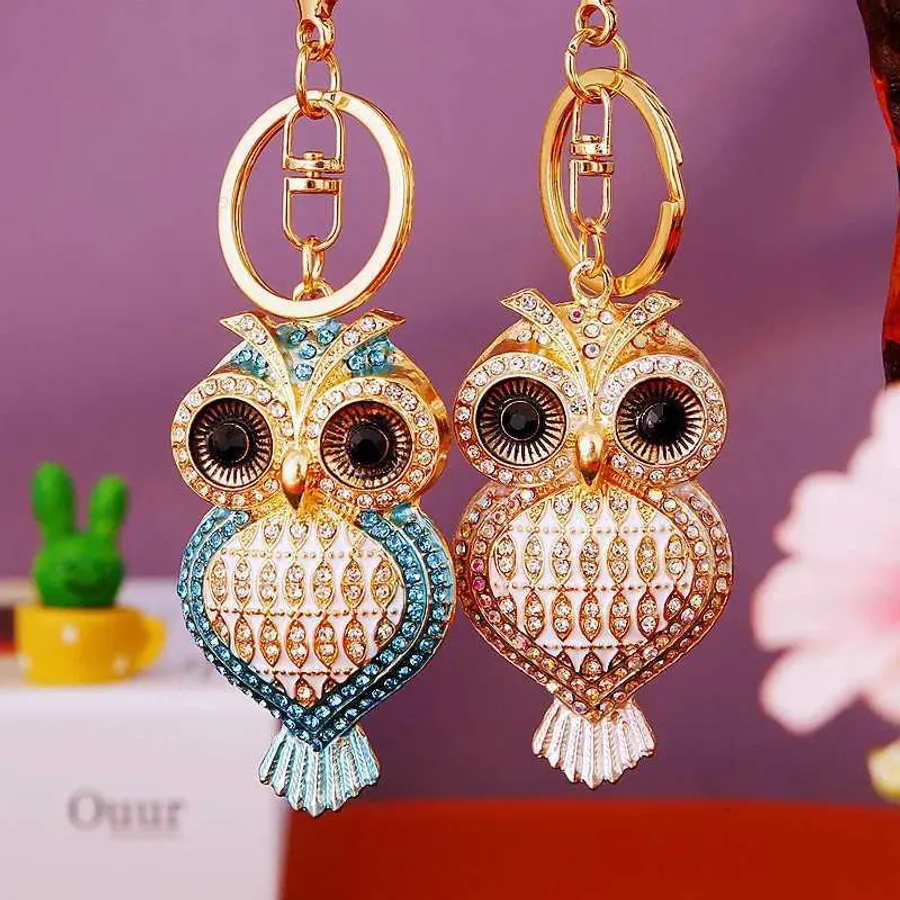 Owl keyring vs lucky charm: Which one brings more than just keys - Main Image